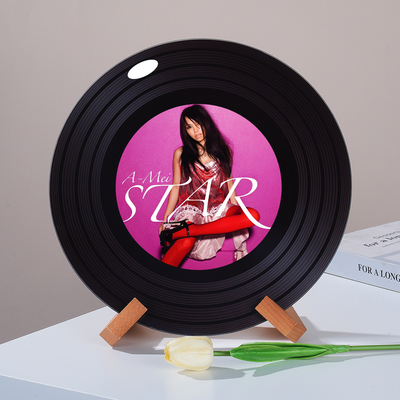 张惠妹可定制黑胶唱片摆件杂志架电视柜格子壁龛摆件创意生日礼物