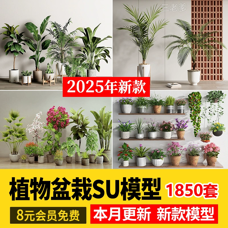绿植植物花盆盆栽盆景松树单体草图大师SU模型室内花卉花草素材库