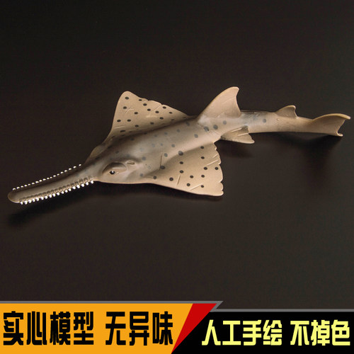 锯齿儿童认知科教女孩海洋生物