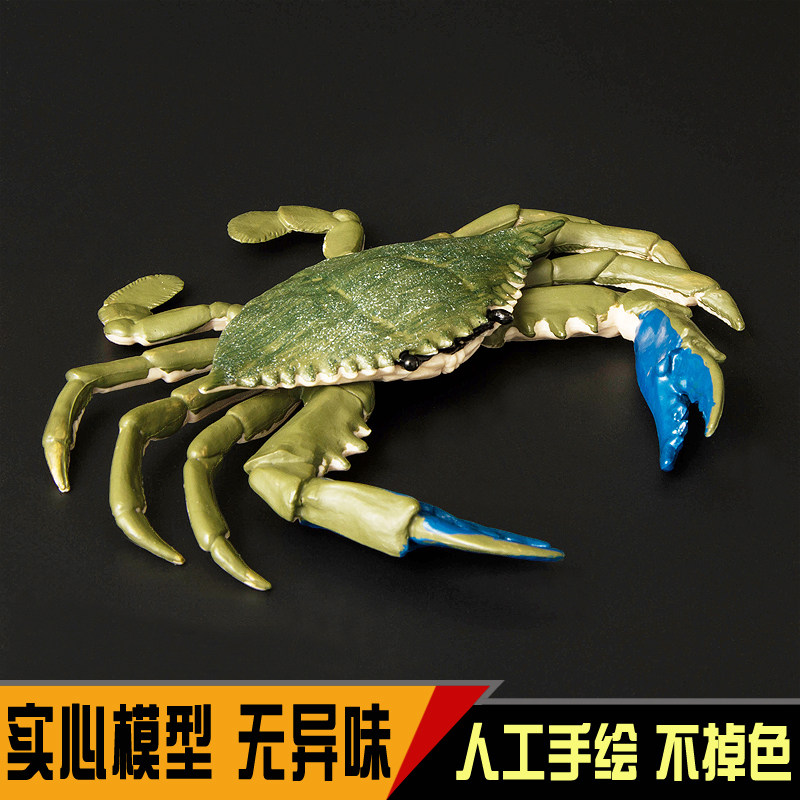 海洋动物儿童玩具梭子蟹螃蟹乌龟塑胶实心环保模型男女孩礼物包邮