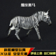 儿童仿真动物玩具模型非洲野生马斑马塑胶儿童玩偶公仔摆件套装