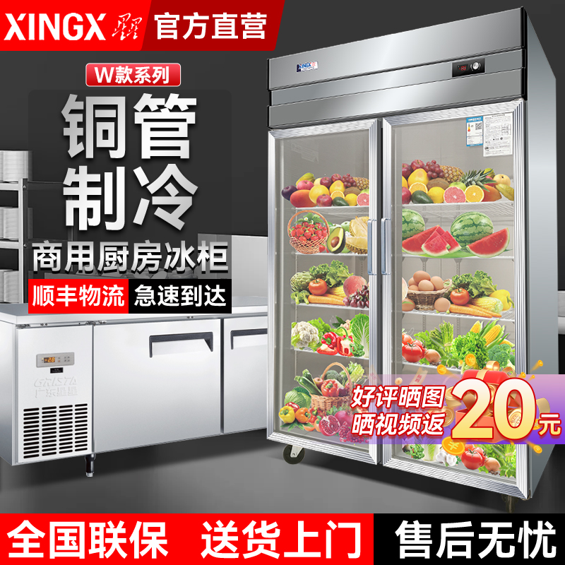 星星冰柜商用四门冷藏冷冻冰箱六门双温雪柜冷冻柜不锈钢铜管厨房