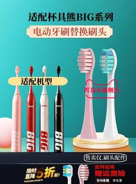 适用beddy bear韩国杯具熊电动牙刷刷头CRYS-BIG04替换头BIG