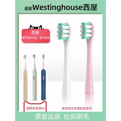 1适配Westinghouse西屋电动牙刷头W1/WT-504L/Y/G成人通用替换