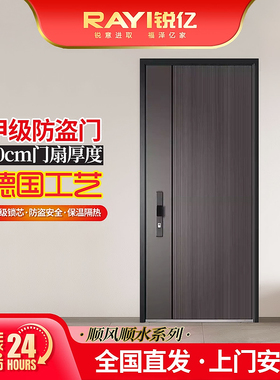 锐亿防盗门 隔音安全门 家用甲级门  官方正品入户门 定制大门