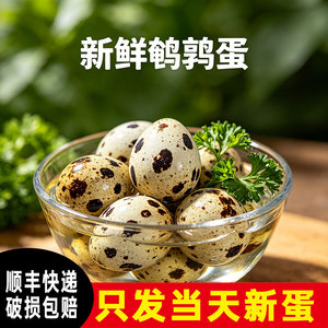 农家新鲜鹌鹑蛋 50 枚现捡现发杂粮喂养宝宝辅食生鲜鹌鹑蛋