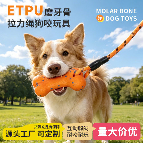 狗狗玩具ETPU咬不坏骨头磨牙中大型犬互动训练拉力绳结宠物玩具