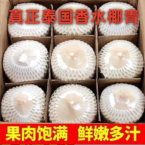 泰国进口香水椰青新鲜椰子特大果1颗2.4斤起包邮当季水果多汁椰子