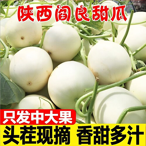 陕西阎良头茬小籽甜瓜5斤新鲜包邮白香瓜应季水果9斤蜜瓜整箱批