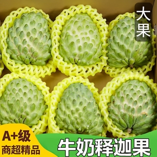 新鲜凤梨释迦果新鲜5斤大果包邮当季水果番荔枝牛奶释迦佛头果