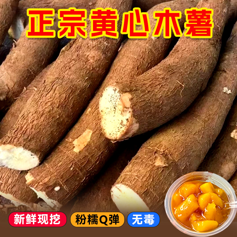 广西特产黄心木薯华南9号新鲜现挖当季黄肉面包木署糖水店糯木薯