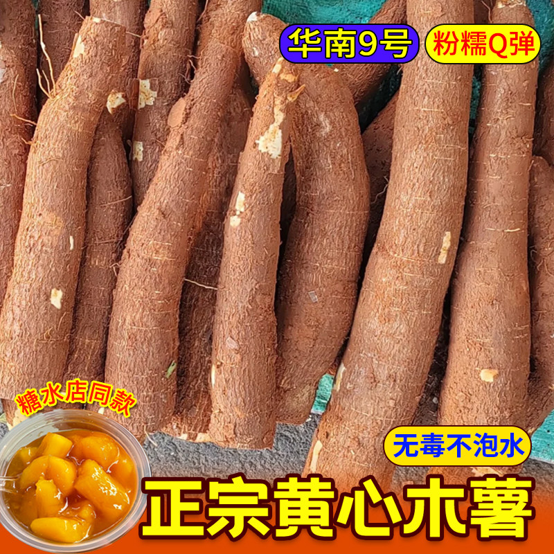 广西特产黄心木薯华南9号新鲜现挖当季黄肉面包木署糖水店糯木薯