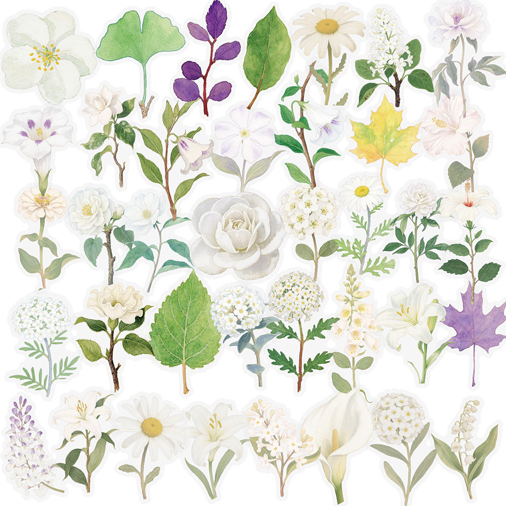 112张植物小白花PET贴纸ins风简约小清新仿真装饰素材diy