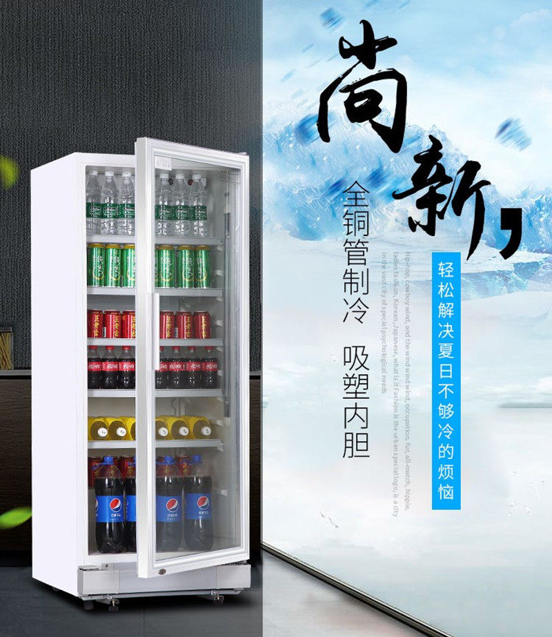 达克斯lg-230xp商用立式冰柜水果保鲜饮料冷藏柜玻璃单门展示柜