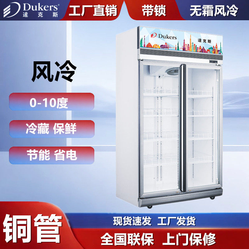达克斯冷柜铜管无霜风冷展示冰柜双门冷藏立式超市陈列柜商用带锁