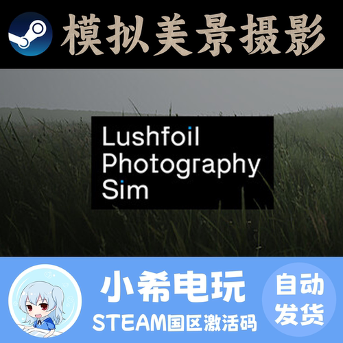 Steam模拟美景摄影国区CDKEY
