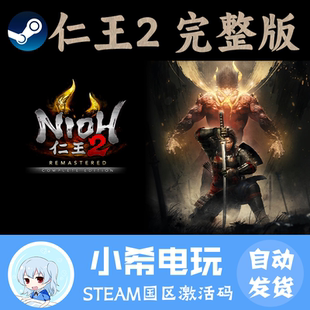 The CDKEY 完整版 正版 Edition Complete – Nioh 仁王2 Steam