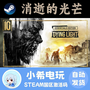 Steam正版 消逝的光芒 Dying Light 国区激活码CDK 游戏PC 生存