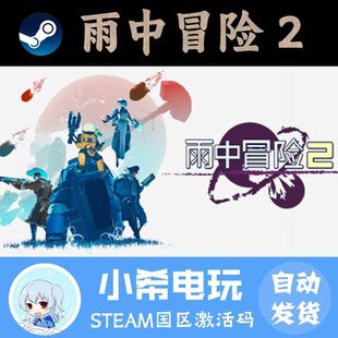 Risk CDKEY 雨中冒险 国区PC 游戏激活码 正版 Steam Rain