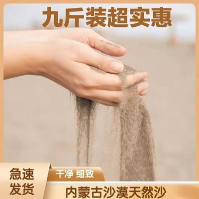 天然沙漠细沙儿童宝宝玩具沙仓鼠浴沙宠物沙乌龟宠物鱼缸沙子颗粒