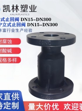 黑色PP立式止回阀FRPP立式止回阀