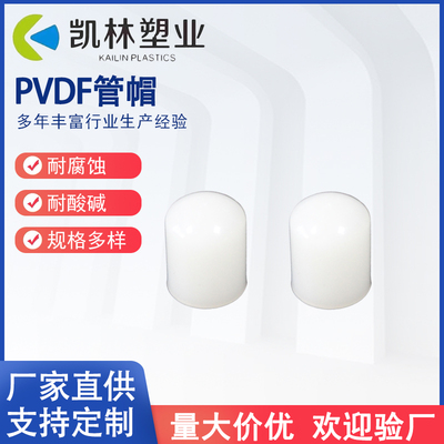 PVDF管帽塑料堵头管堵管道闷头