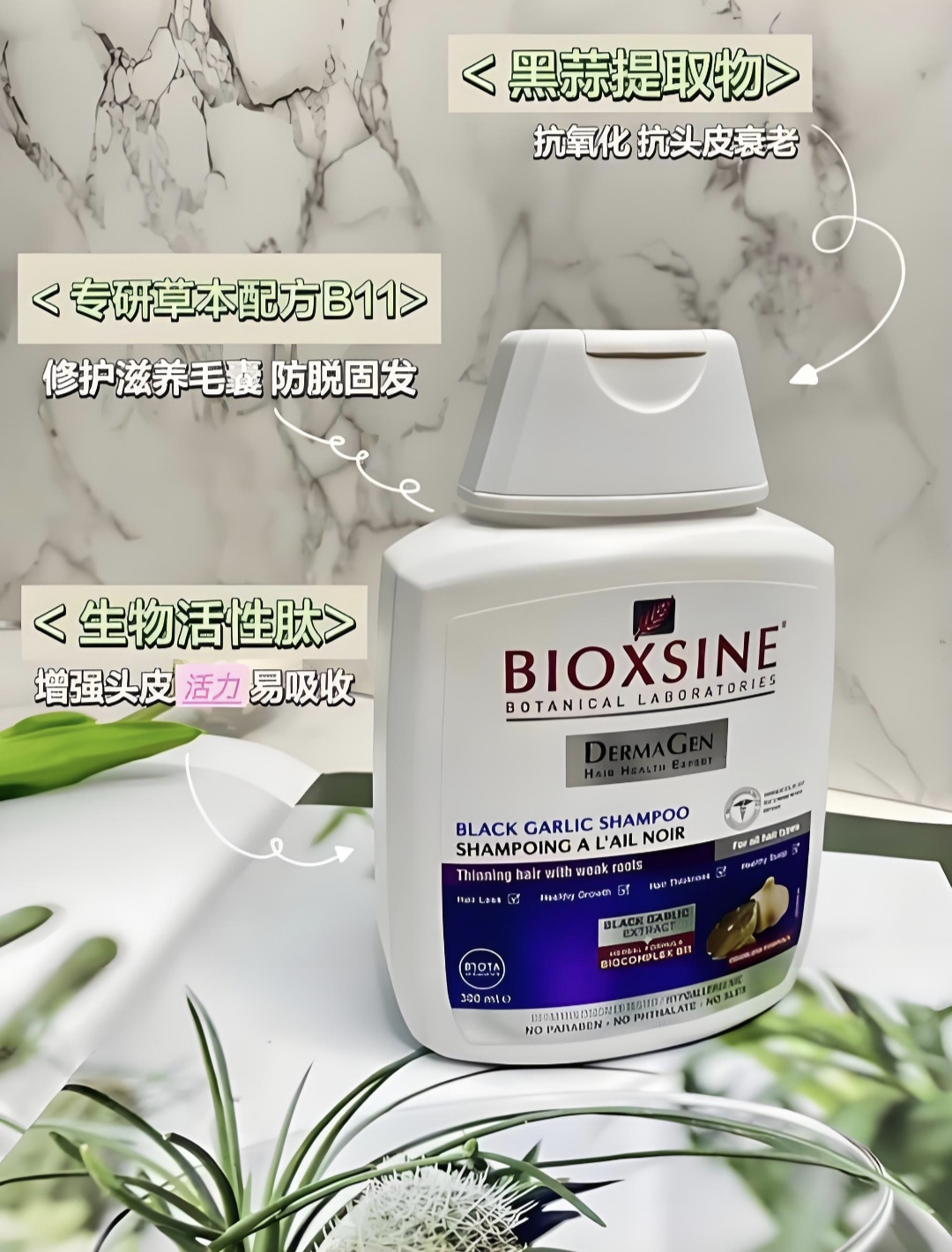 原装进口土耳其BIOXCIN黑蒜洗发水抗头皮衰老防脱发控油去屑300ml