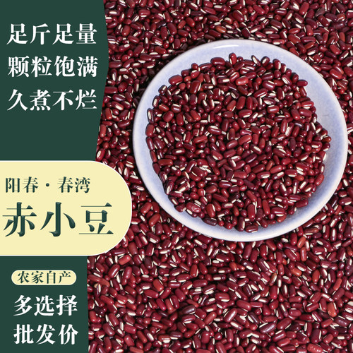 春湾赤小豆500g本地农家晒干