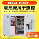 电热鼓风干燥箱恒温实验室带可视窗烘干箱小型烤箱高温工业烘箱