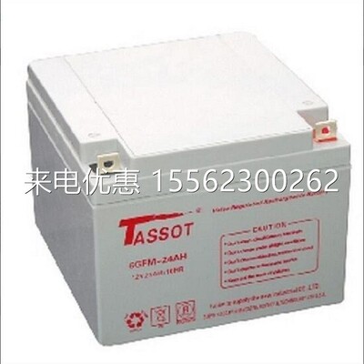 TASSOT泰斯特蓄电池6GFM-24 12V24AH直流屏应急电源