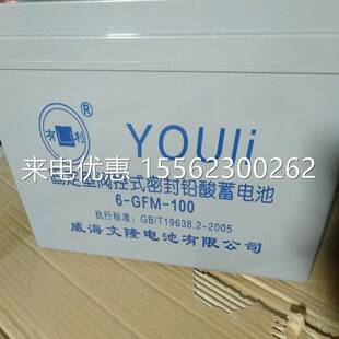 YOULI有利蓄电池直流屏UPS电源配套6-GFM-200 12V200AH