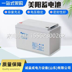 美阳蓄电池6-GFM-24免维护12V38/65/100AH阀控式UPS应急电源消防