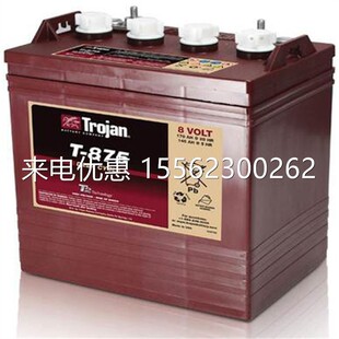 Trojan邱健蓄电池 T-875 8V170AH 高尔夫球车公共车辆电池