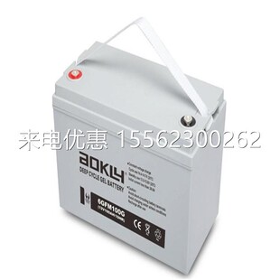 AOKLY奥克莱蓄电池6-GFM-100 铅酸储能匠心型 业务联网系统应急电