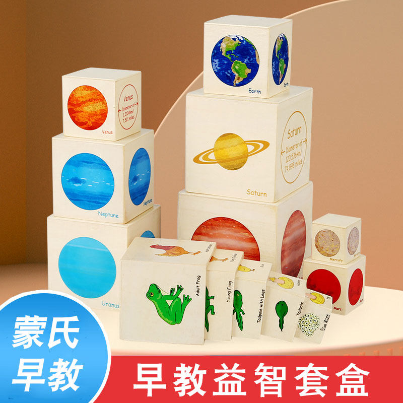 蒙氏宝宝早教益智玩具青蛙蝴蝶鸡成长过程套盒幼儿园儿童区角材料