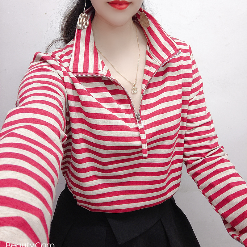 欧洲站2025新款春款体恤衫欧货polo衫宽松条纹长袖T恤女翻领上衣