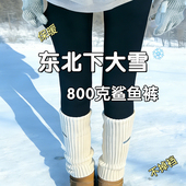 加绒加厚鲨鱼裤 东北紧身打底瑜伽裤 女外穿2025新款 保暖棉裤 秋冬季