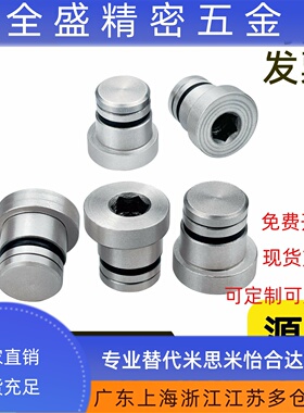 直线导轨不锈钢定位销 偏芯销ICE11/12/LLT/LLTS1.4/1.8/3.5/5