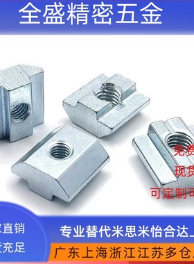 LNSN6/8/10-20/30/40/45-3/4/5/6/8-100P滑块螺母 欧标铝型材专用