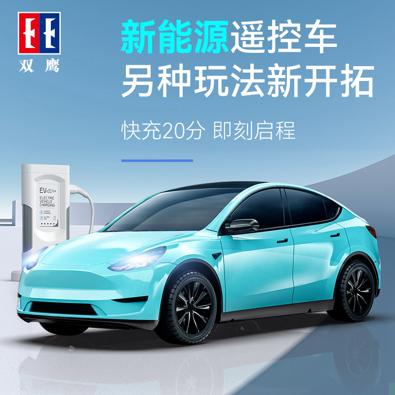 双鹰遥控汽车电车玩具赛