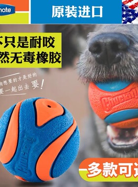 美国petmate狗狗橡胶玩具球遛狗训练专用耐咬神器互动解闷chuckit
