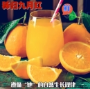 包邮 新鲜水果整箱橙子 甜蜜多汁产地直发 应季 湖北秭归脐橙冬季