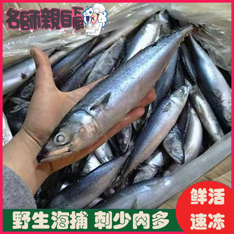 青花鱼6斤新鲜冷冻水产青占鱼整条青鱼鲜活海鱼满籽沙丁鱼特产