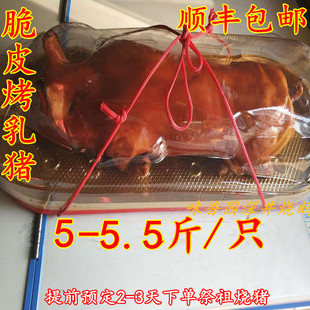 正宗广式脆皮现做烤乳猪约350-400克烧猪肉整只礼盒装包邮