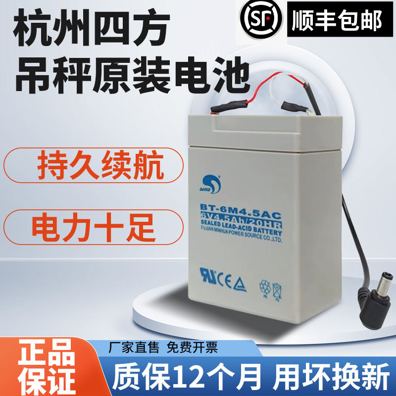 赛特吊秤6V4.5AH长寿命