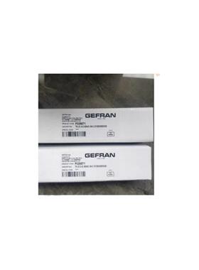议价意大利GEFRANF028571 TK-E-3-E-B04C-MV2130X000X00