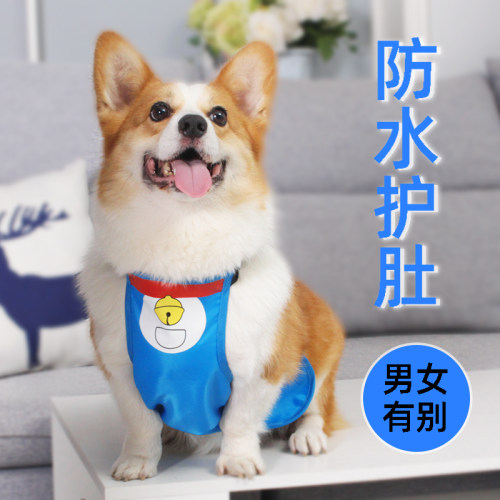 防水防脏防着凉狗狗雨天护肚肚兜