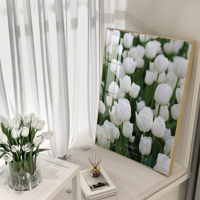 twwln-xd-100现代玄关