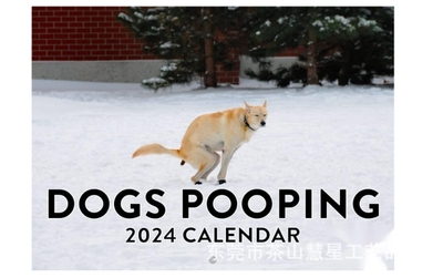 跨境新品2024年狗狗大便日历 创意狗狗日历Dogs Pooping Calendar