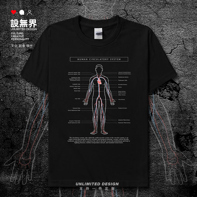 人体血液循环系统纯棉生短袖T恤